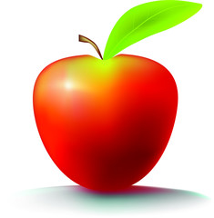 red_apple_with_leaf