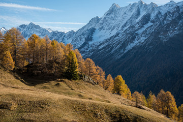 Fototapeta premium Lötschental im Herbst