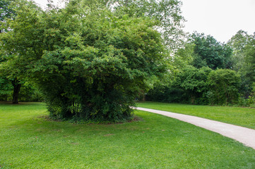 Naklejka premium footpath in a park with green vegetation. Swiss city Basel.