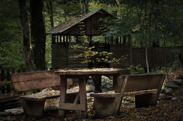 Autumn landscape, in the foreground benches and a table sprinkled with fallen leaves. In the...