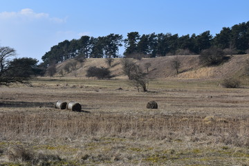 Natur 