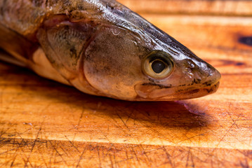 Fresh zander head on wooden surface