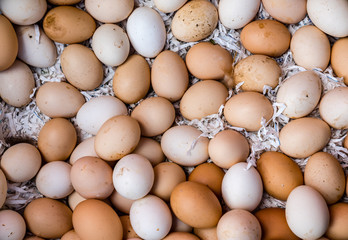 Eggs on market stall.