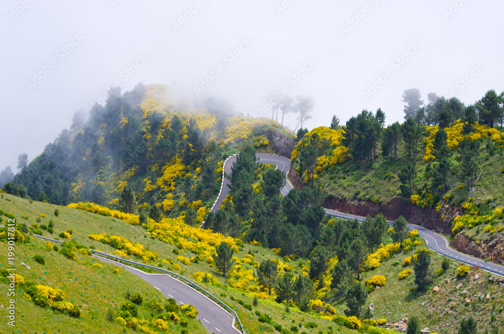 Poster Foggy view in mountains, Madeira, Portugal