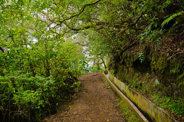 Fototapeta na wymiar Levada da Portela, Madeira, Portugal
