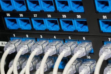 Network cables and servers in a technology data center