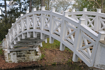 Weiße Brücke im Wörlitzer Park