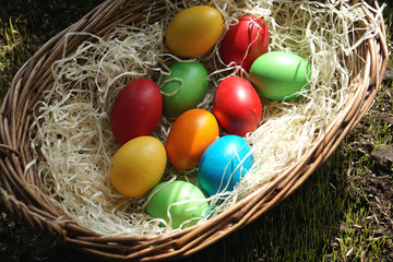 homemade colored easter eggs in easter basket outdoor at grass