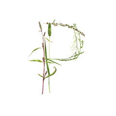 floral watercolor letter P