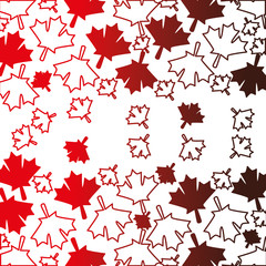 maple leaves pattern background vector illustration design