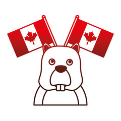 beaver with canadian flags vector illustration design