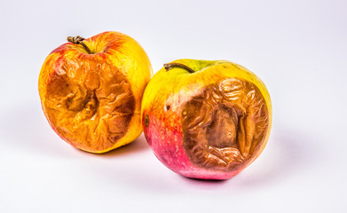 Rotten apple isolated on a white background.