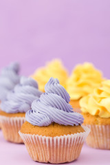 Cupcakes decorated with yellow cream on violet pastel background for greeting card with copyscape.