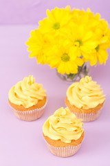 Cupcakes decorated with yellow cream and chrysanthemums on violet pastel background for greeting card with copyscape.