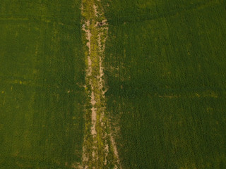 Aerial view of colorful agricultural field in spring with blue sky in background. Portugal