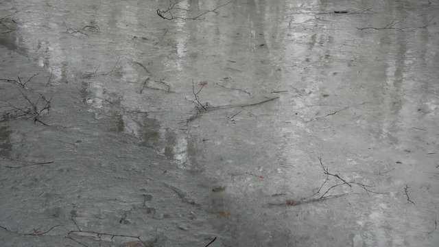 Spring flood in forest and rain drops on ice

