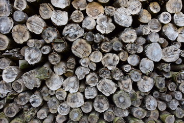 Brennholz, Ofenholz gestapelt