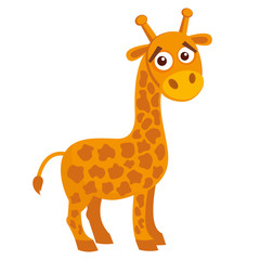 Wild animals. Giraffe