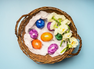 Fototapeta na wymiar multi-colored easter eggs in a decorative nest with narcissus flowers, on a blue background