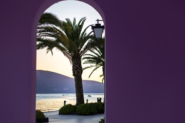 palm on sea background, purple arch
