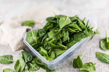 Baby spinach leaves