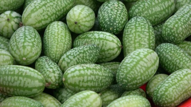 Rotating fresh mouse melons cucamelons food background