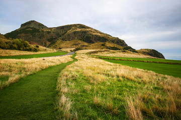 Fototapeta na wymiar Green and yellow grass with Arthur's Seat in the background on overcast autumn day. Edinburgh, Scotland