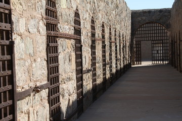 Cell Doors