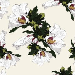 Beautiful fashionable seamless floral jungle pattern background. Colorful tropical flowers, white hibiscus with green leaves, exotic print.