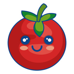 tomato vegetable healthy food vector illustration design