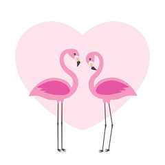 Two cute flamingos in love
