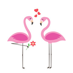Two cute flamingos in love
