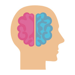human profile with brain vector illustration design