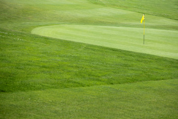 Fototapeta premium Golf flag on the green grass