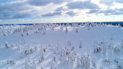 Aerial view of snow covered park. Vibrant evergreen trees and foot prints in the snow seen from above. Sun rise