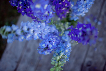 Obraz premium bouquet of blue flowers