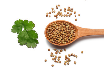 coriander seeds in wooden spoon isolated on white background top view