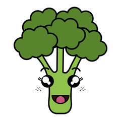 broccoli vegetable healthy food vector illustration design