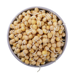 Sprouted peas in a cup isolated on white background, top view