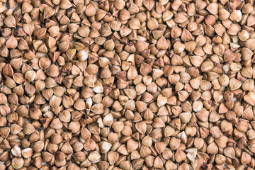 Buckwheat grains close-up. Macro photography.