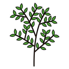 tree branch with leafs vector illustration design