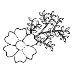 beautiful flower with leafs decorative icon vector illustration design