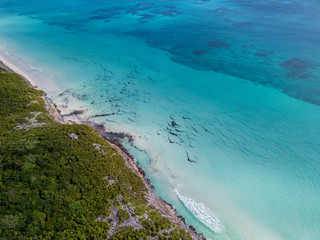 Fototapeta na wymiar Sea Aerial view, Top view, amazing nature background. The color of the water and beautifully bright. Azure beach. Top view aerial photo from flying drone of an amazingly beautiful sea landscape.
