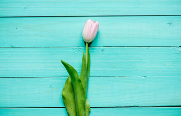 tulips bouquet on  wooden background