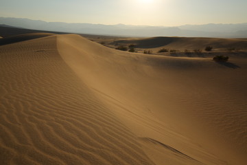 Obraz na płótnie Canvas Death Valley Mesquite Flat Sand Dunes Sunset