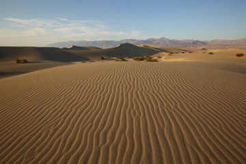 Fototapeta na wymiar Death Valley Mesquite Flat Sand Dunes 