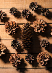 a bunch of cones on a wooden Board