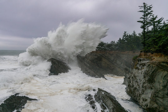Shore Acres State Park, Oregon, USA