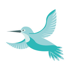 cute bird flying with beautiful plumage vector illustration design
