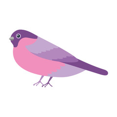 cute bird with beautiful plumage vector illustration design